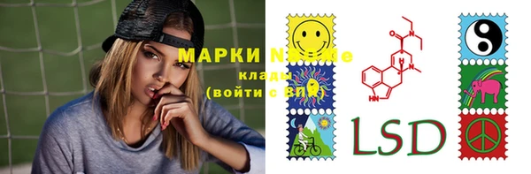 трава Беломорск
