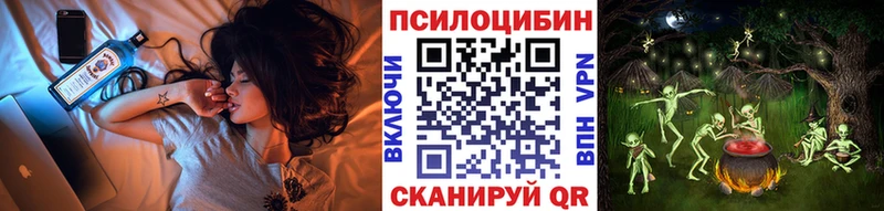 купить   Вятские Поляны  Галлюциногенные грибы мицелий 